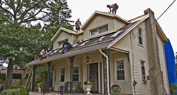 Best Roof Gutter Cleaning  in Casas Adobes, AZ